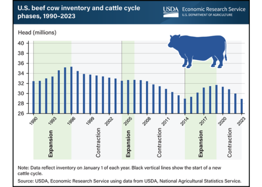 Cattle Cycle Uncertainty Looms As Drought Kicks Expansion Down the Road